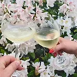 Riesling Vakantiehuis
