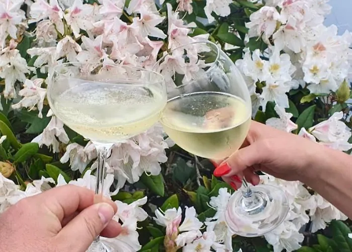 Riesling בית נופש